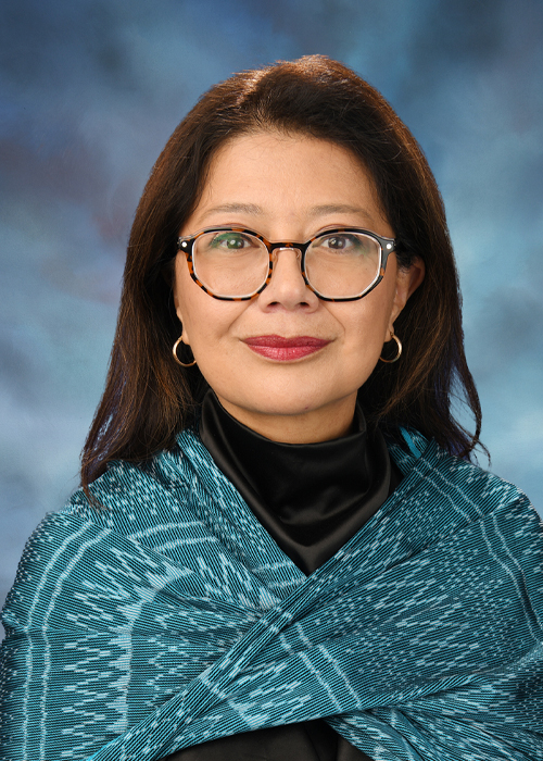 Photograph of  Senator  Karina Villa (D)